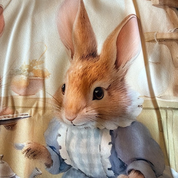 NEW Beatrix Potter Peter Rabbit inspired tea party throw pillow cover nursery - Picture 7 of 13